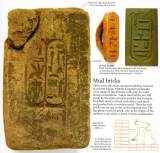 Рис.191 РУССКИЕ КОРНИ ДРЕВНЕЙ ЛАТЫНИ