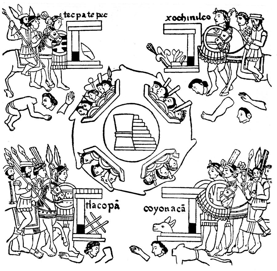 Казаки завоевание америки